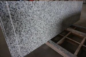 중국 Bala 꽃 화강암 조리대